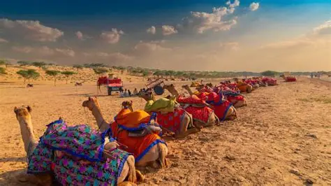 Rajasthan Tour